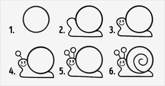  Gambar  Kura Kura Yang  Mudah  Digambar  gambar  kura kura